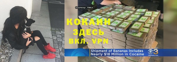 спайс Арсеньев