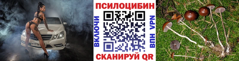 Псилоцибиновые грибы Cubensis Реж